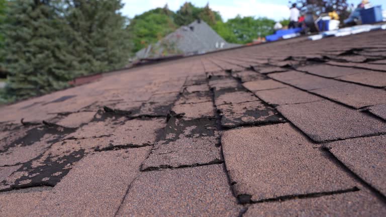 Best Rubber Roofing (EPDM, TPO)  in Churchill, MT