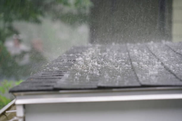 Best Skylight Installation and Repair  in Churchill, MT